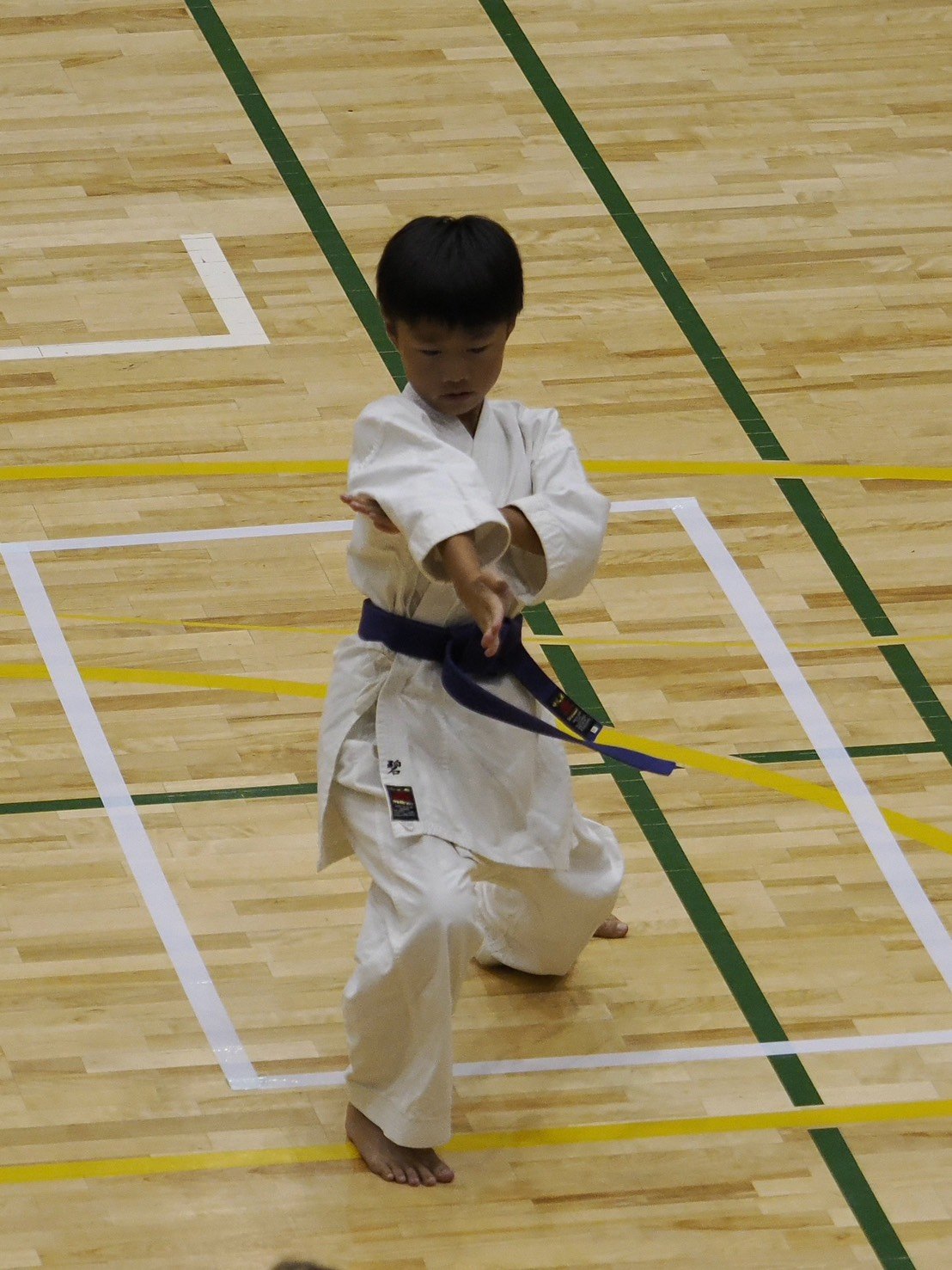 形の演武に臨む選手